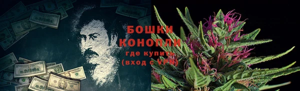 гашик Каменногорск