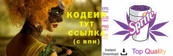 гашик Каменногорск
