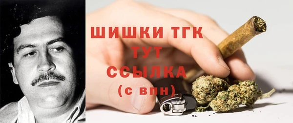 соль курить ск Каменка